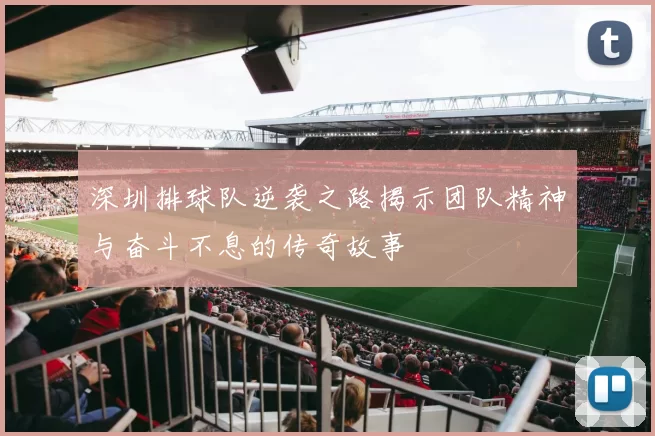 深圳排球队逆袭之路揭示团队精神与奋斗不息的传奇故事