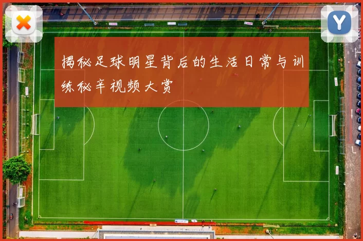揭秘足球明星背后的生活日常与训练秘辛视频大赏