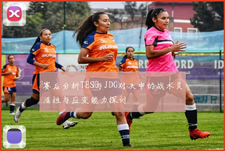 赛后分析TES与JDG对决中的战术灵活性与应变能力探讨