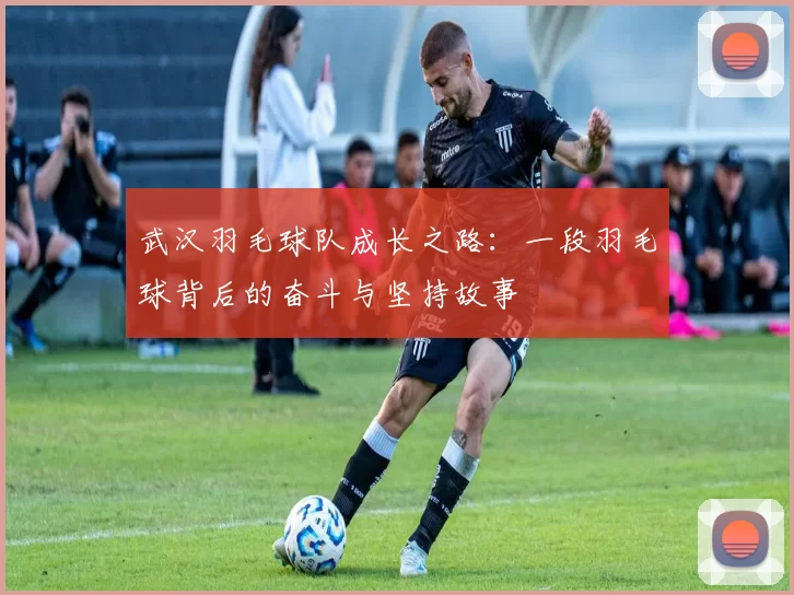 武汉羽毛球队成长之路：一段羽毛球背后的奋斗与坚持故事