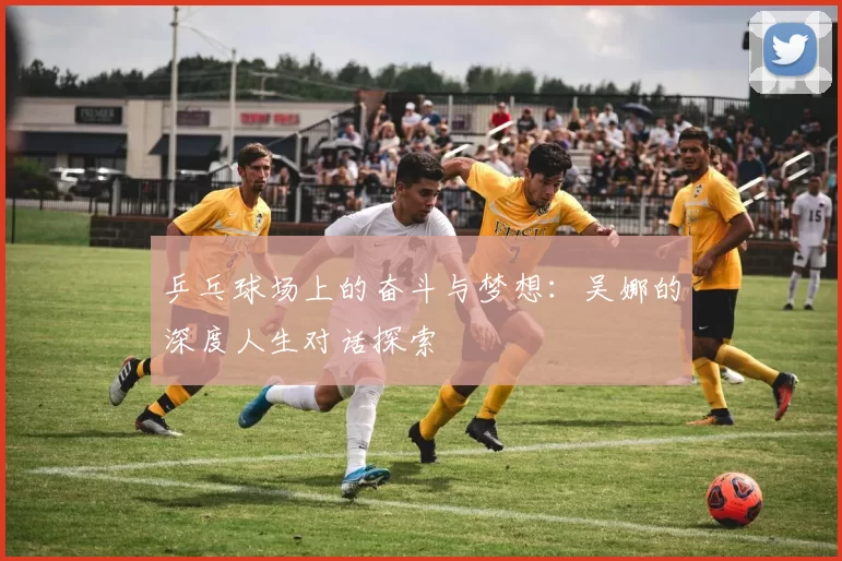 乒乓球场上的奋斗与梦想：吴娜的深度人生对话探索
