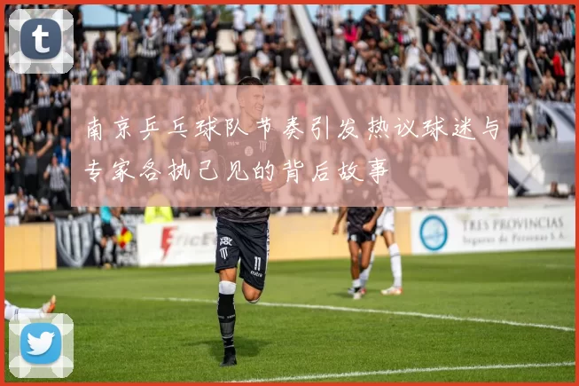 南京乒乓球队节奏引发热议球迷与专家各执己见的背后故事