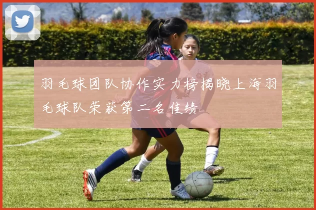 羽毛球团队协作实力榜揭晓上海羽毛球队荣获第二名佳绩