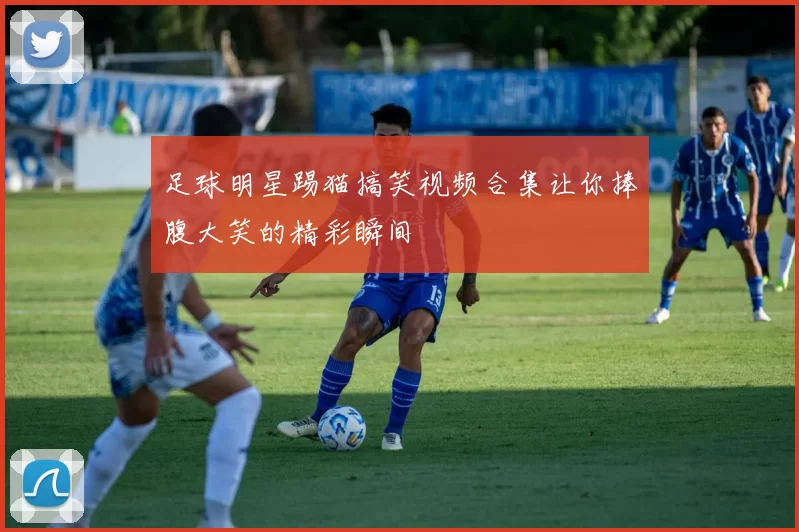 足球明星踢猫搞笑视频合集让你捧腹大笑的精彩瞬间