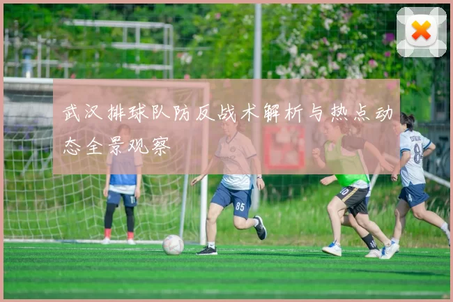 武汉排球队防反战术解析与热点动态全景观察