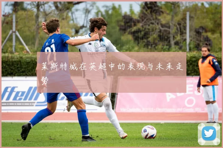 莱斯特城在英超中的表现与未来走势