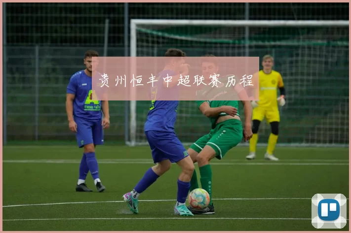 贵州恒丰中超联赛历程