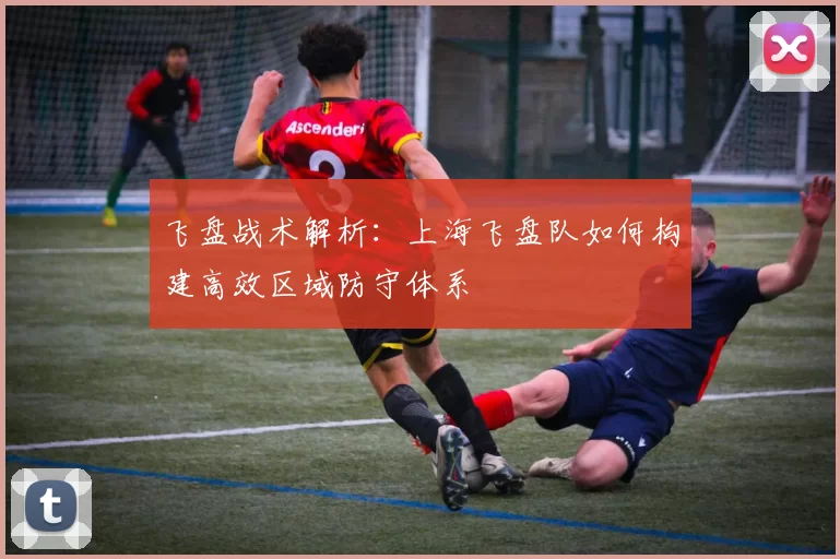 飞盘战术解析：上海飞盘队如何构建高效区域防守体系
