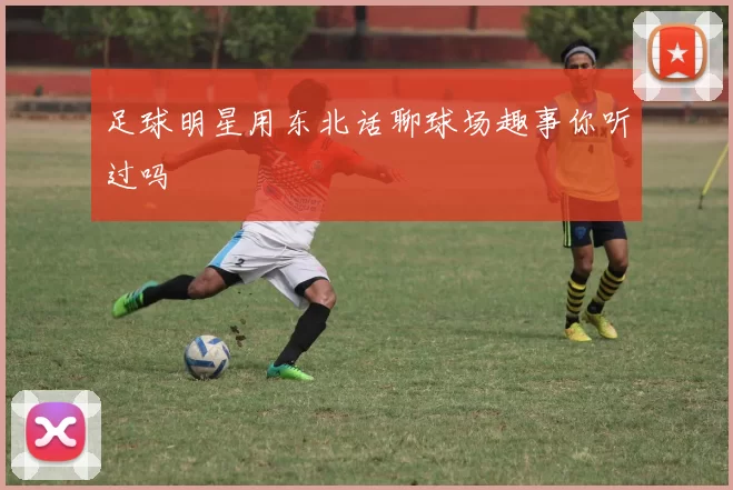 足球明星用东北话聊球场趣事你听过吗