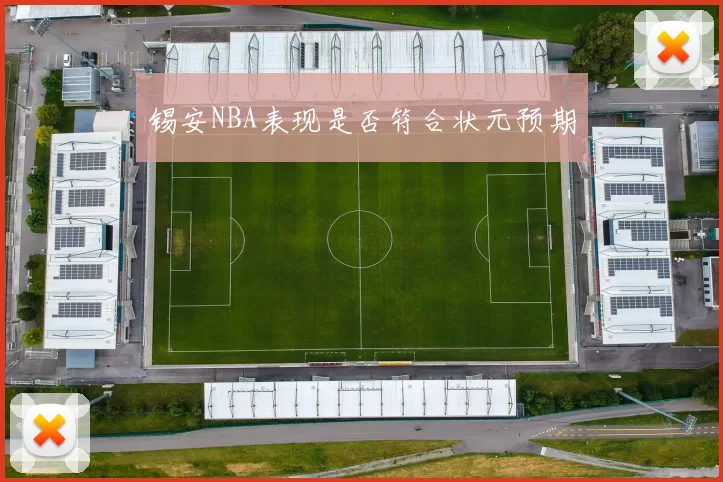 锡安NBA表现是否符合状元预期