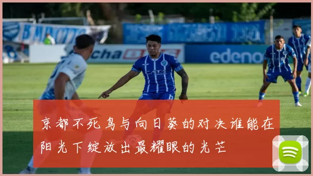 京都不死鸟与向日葵的对决谁能在阳光下绽放出最耀眼的光芒