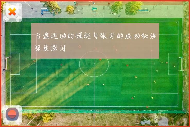 飞盘运动的崛起与张芳的成功秘诀深度探讨
