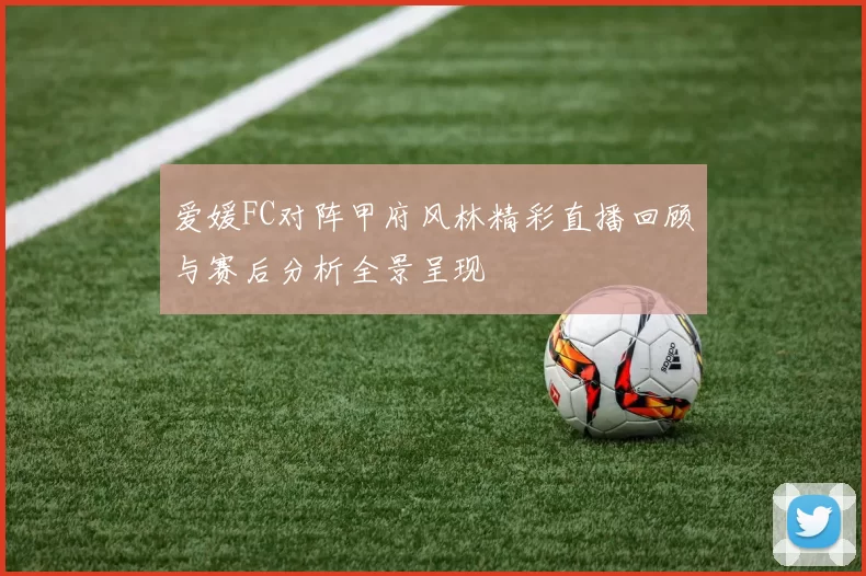 爱媛FC对阵甲府风林精彩直播回顾与赛后分析全景呈现