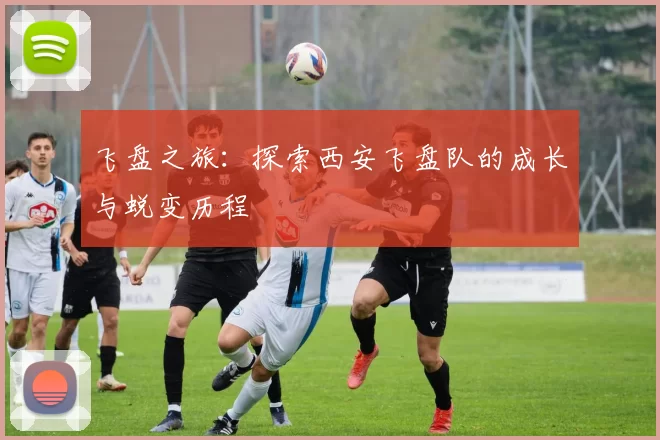 飞盘之旅：探索西安飞盘队的成长与蜕变历程