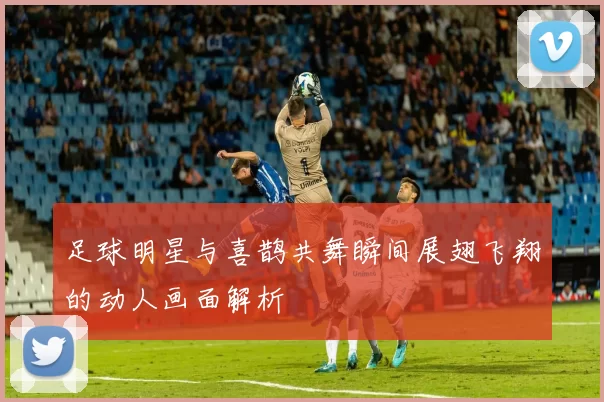 足球明星与喜鹊共舞瞬间展翅飞翔的动人画面解析