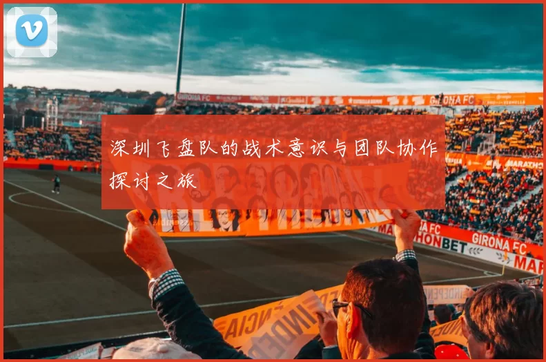 深圳飞盘队的战术意识与团队协作探讨之旅