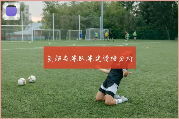 英超各球队球迷情绪分析
