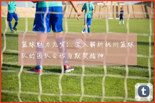 篮球魅力无穷：深入解析杭州篮球队的团队合作与默契精神