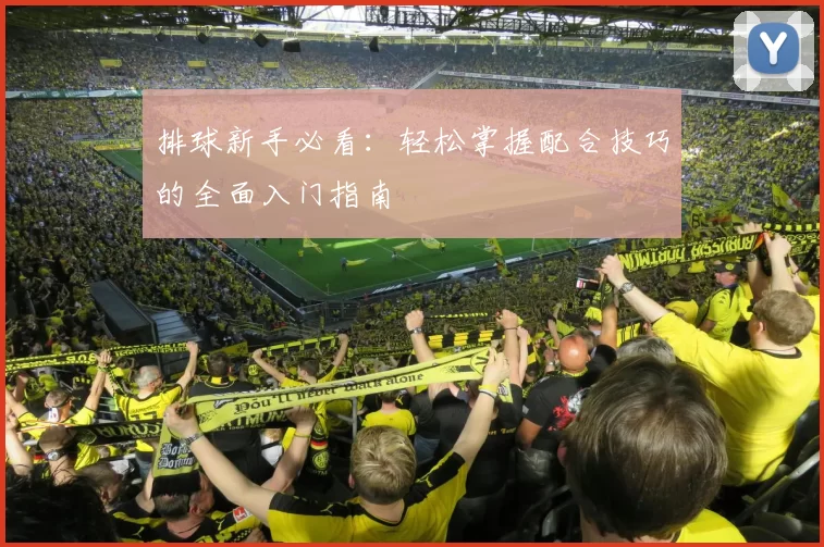排球新手必看：轻松掌握配合技巧的全面入门指南