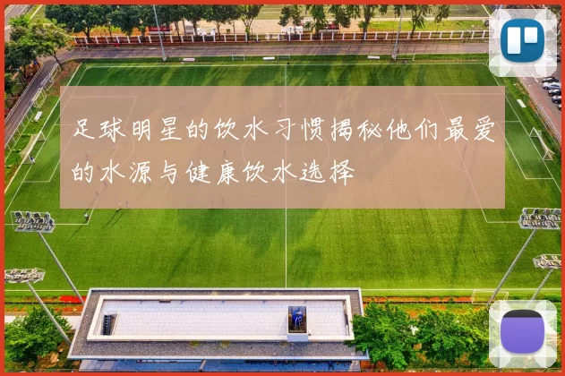 足球明星的饮水习惯揭秘他们最爱的水源与健康饮水选择