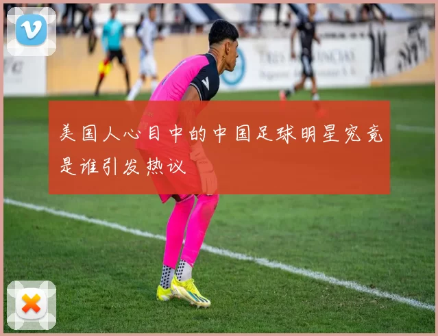 美国人心目中的中国足球明星究竟是谁引发热议