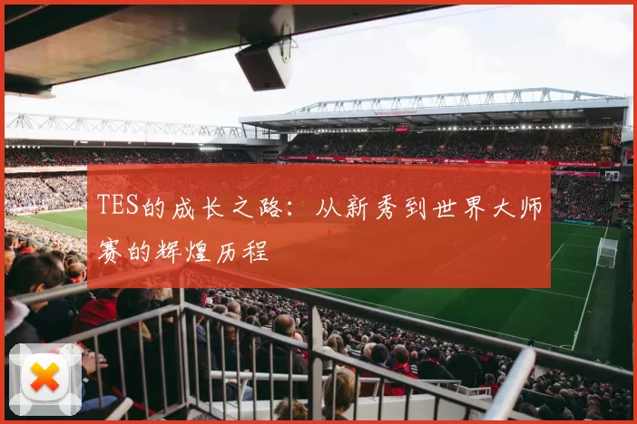 TES的成长之路：从新秀到世界大师赛的辉煌历程