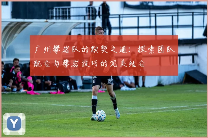 广州攀岩队的默契之道：探索团队配合与攀岩技巧的完美结合