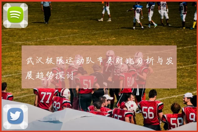 武汉极限运动队节奏对比分析与发展趋势探讨