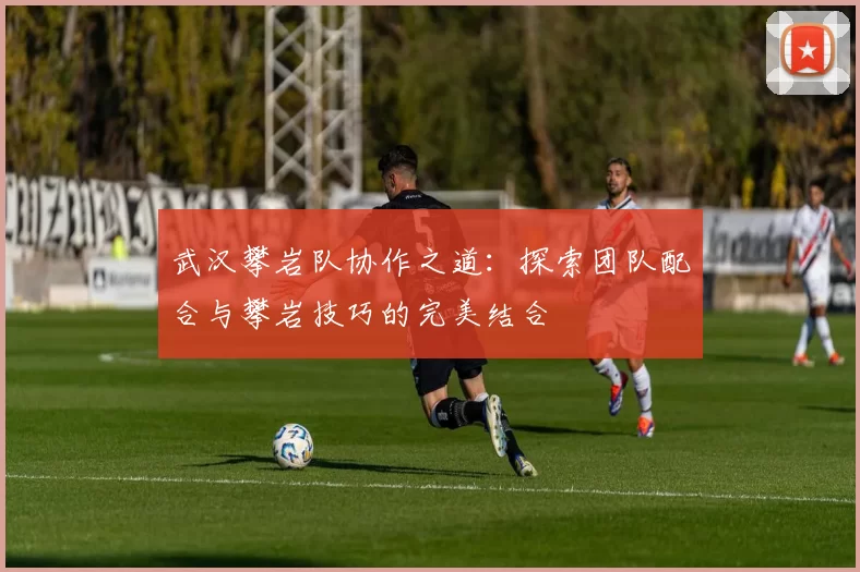 武汉攀岩队协作之道：探索团队配合与攀岩技巧的完美结合