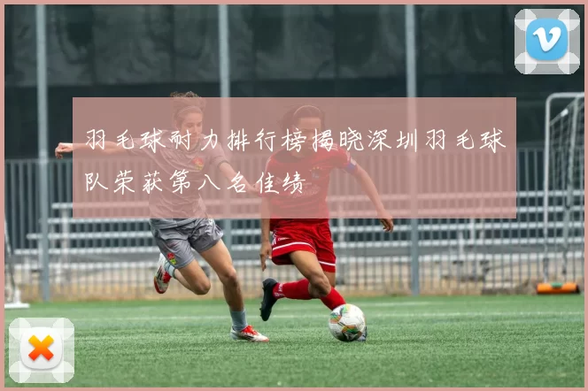 羽毛球耐力排行榜揭晓深圳羽毛球队荣获第八名佳绩