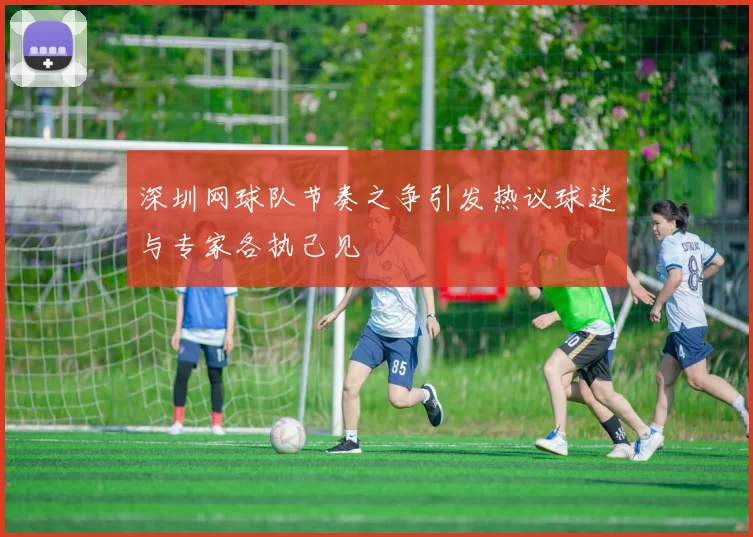 深圳网球队节奏之争引发热议球迷与专家各执己见