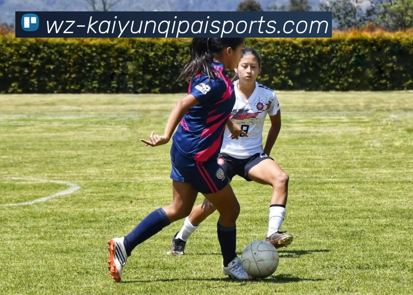 开云APP下载平台生态图