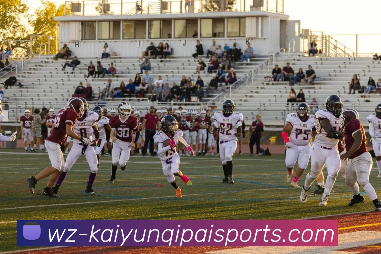 开云APP下载全站App